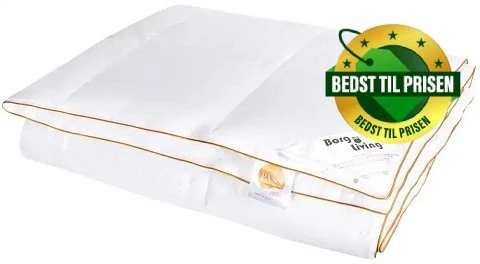Helårs gåsedunsdyne By Borg Living (Bedst til prisen)